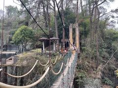 -千岛湖东南湖区