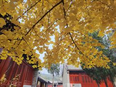 -承恩寺