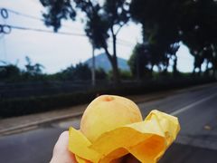 -老袁家蜜桃农场·阳山水蜜桃