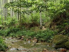-黄公望隐居地
