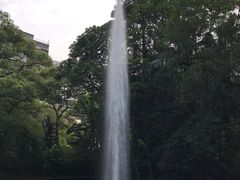 -九龙公园