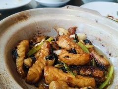 烧锅姜葱脆皖鱼腩-中山保利艾美酒店-乐美中餐厅