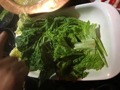 -老诚一锅羊蝎子(黄寺大街店)