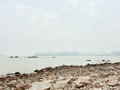 -野狸岛