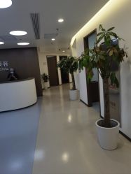 -丰联丽格医疗美容·联合丽格眼整形中心