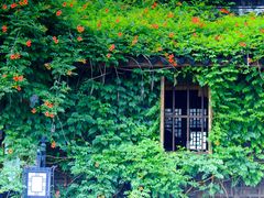 -山塘街