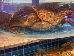 -一方渔歌蒸汽海鲜自助(文化路万达广场店)