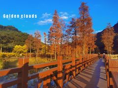 -广州市石门国家森林公园