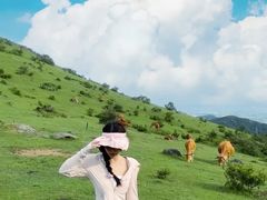 -大姆山草场