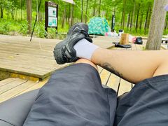 -合肥滨湖国家森林公园