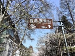 -鸡鸣寺