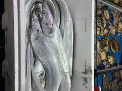 -大连熟食品交易中心