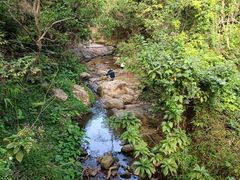 -东莞市大岭山森林公园