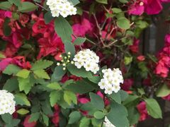 -春暖花开(西溪店)