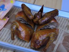 -鸽小宝(深圳首店)