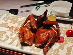 -大鸽饭(体育西路店)