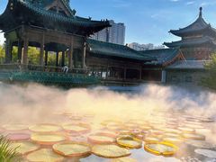 -迎泽公园