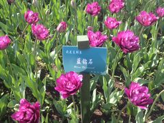 -长春公园(普阳街道)