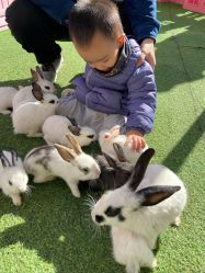 -萌宠亲子动物乐园(槐房万达店)