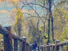 -秦岭终南山世界地质公园翠华山景区