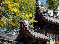-西园戒幢律寺