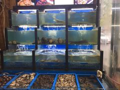 水产区-老东镇啤酒屋海鲜加工·蒸汽海鲜·海鲜烧烤(台东店)