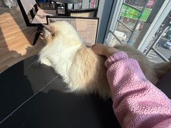 -工联CC