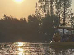-洋湖国家湿地公园
