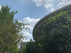 -同济大学四平路校区游泳馆