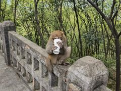 -黔灵山公园