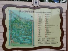 -大湾区中央湿地公园