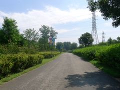 -永定河休闲森林公园