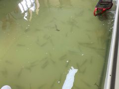 -北京益泉花园酒店