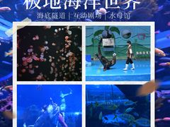 -石家庄极地海洋世界