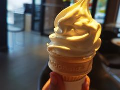 -麦当劳(红旗路店)