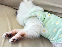 -怪兽屋·羊驼·猫咖·狗咖(俊华广场店)