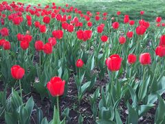 -长春公园(普阳街道)