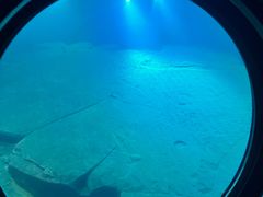 -白鹤梁水下博物馆