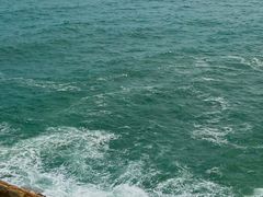 -广东惠东海龟国家级自然保护区