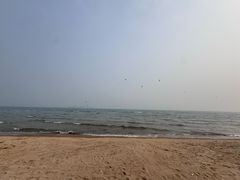 -南戴河旅游度假区