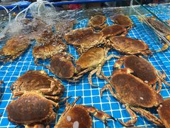 -三亚火车头万人海鲜广场