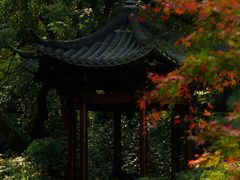 -杭州植物园