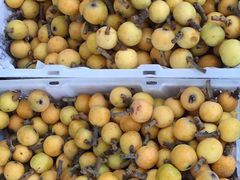 -苏州香山国际大酒店