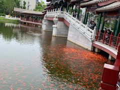 -西海子公园