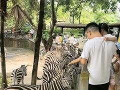 -深圳野生动物园