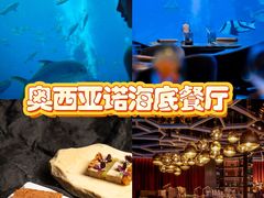 -三亚亚特兰蒂斯度假区