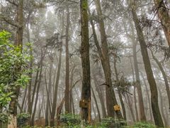 -七曲山风景区