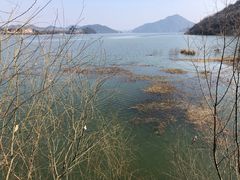 -青山湖景区