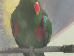 -石家庄市动物园