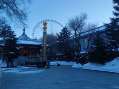 -哈尔滨极乐寺